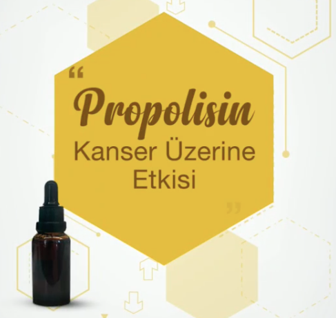 propolis-kanser