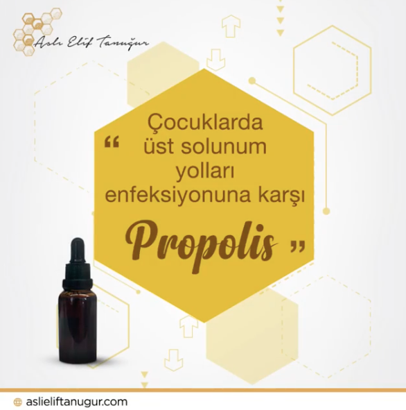 ust-solunum-yolu