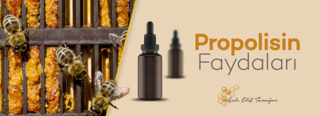 propolisin-faydaları