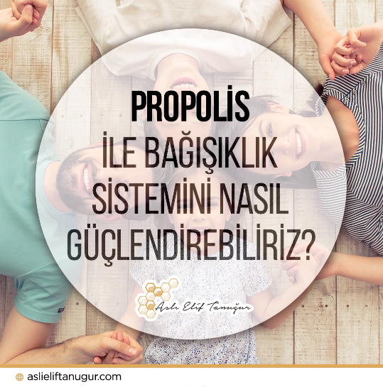 bagisiklik