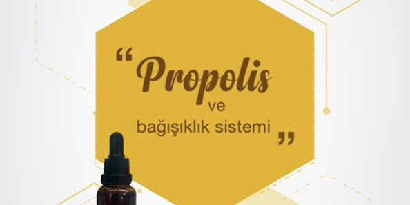propolis-bagisiklik