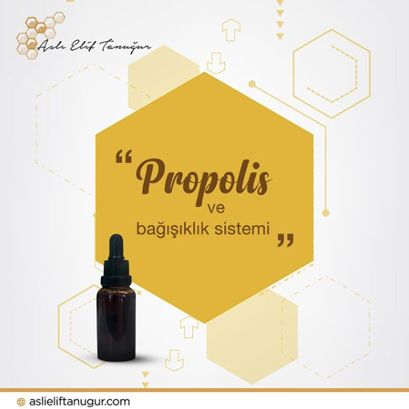 propolis-bagisiklik