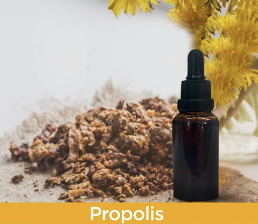 propolis-damla propolis nedir nasıl kullanılır