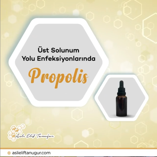 ust-solunum-yolu
