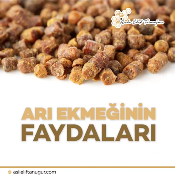 ari-ekmeginin-faydalari