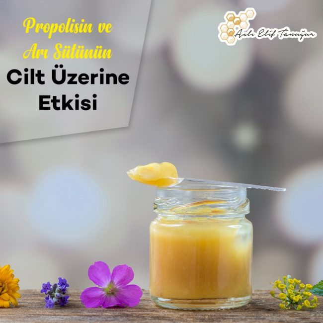 propolis-blog