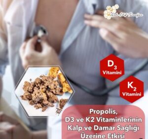 Anadolu Propolisi, D3 ve K2 Vitaminlerinin Kalp Sağlığındaki Önemi