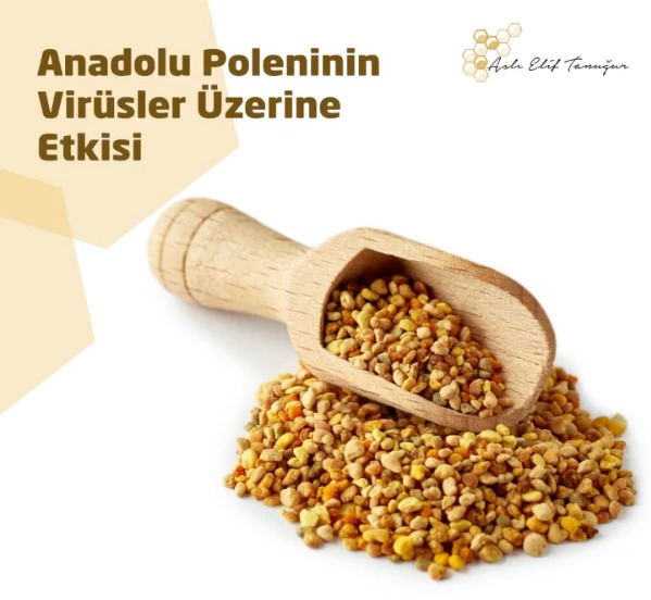 WhatsApp Image 2021-10-04 at 14.01.50