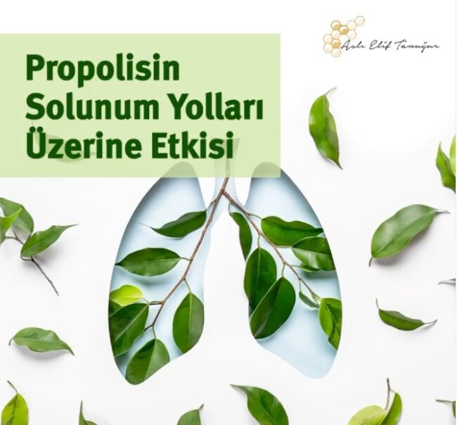 WhatsApp Image 2021-10-18 at 10.25.34