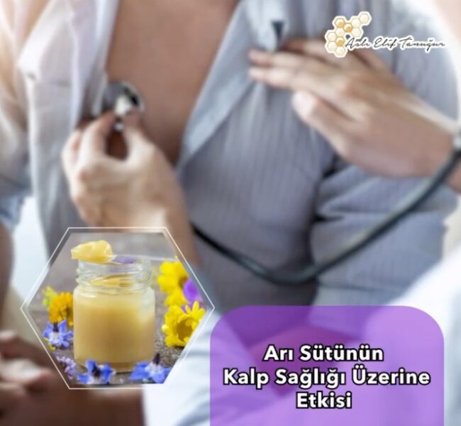 WhatsApp Image 2021-10-25 at 11.26.44