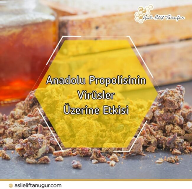 WhatsApp Image 2021-11-02 at 08.54.23