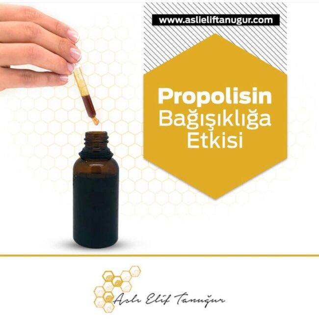 WhatsApp Image 2021-11-29 at 12.03.52