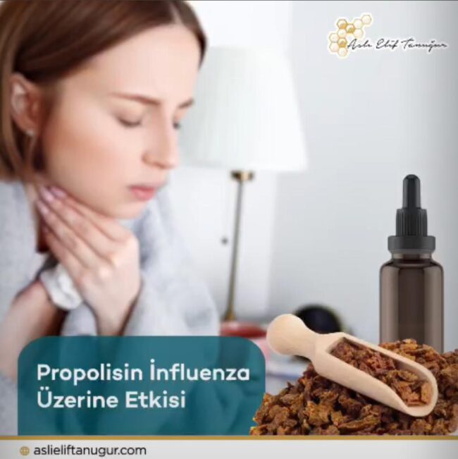 Propolisin_influenza_Uzerine_Etkisi