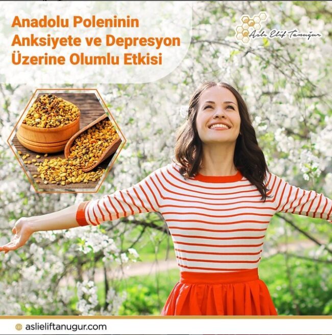 ari_sutu_ve_polenin_depresyon_uzerine_etkisi