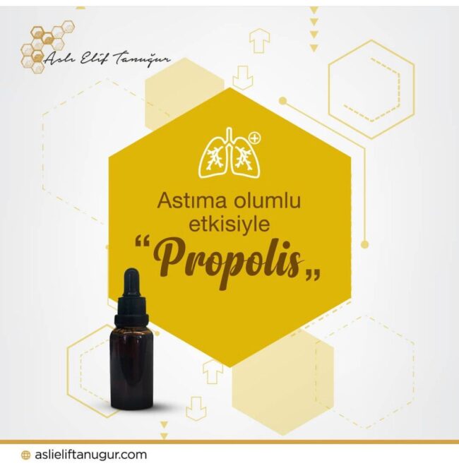 propolisin_astima_etkisi