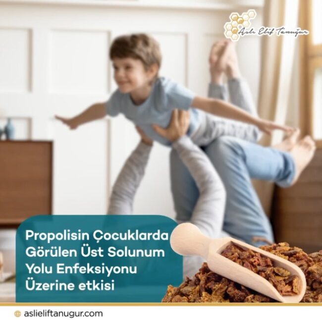 propolisin_ust_solunum_yolu_enfeksiyonuna_etkisi