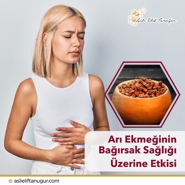 ari_ekmeginin_bagırsak_sagligi_uzerine_etkisi
