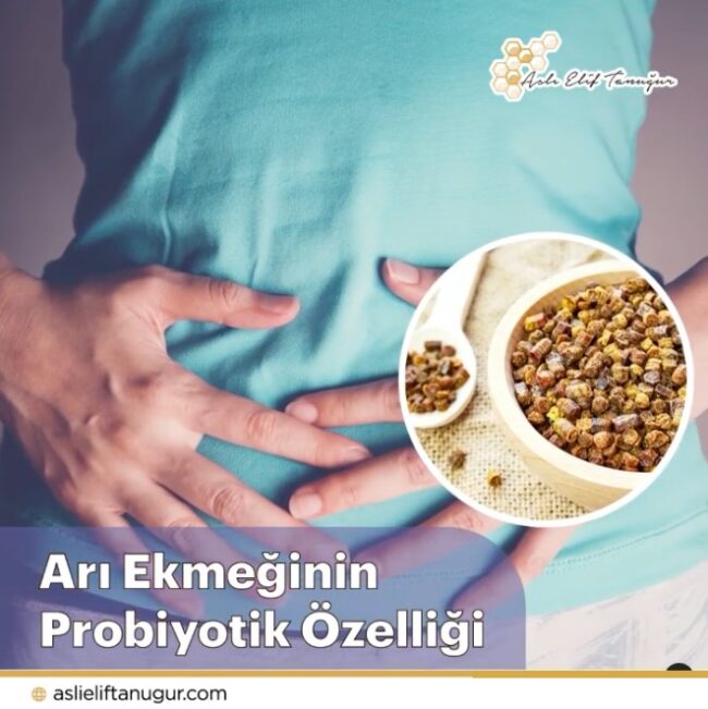 ari_ekmeginin_probiyotik_ozelligi