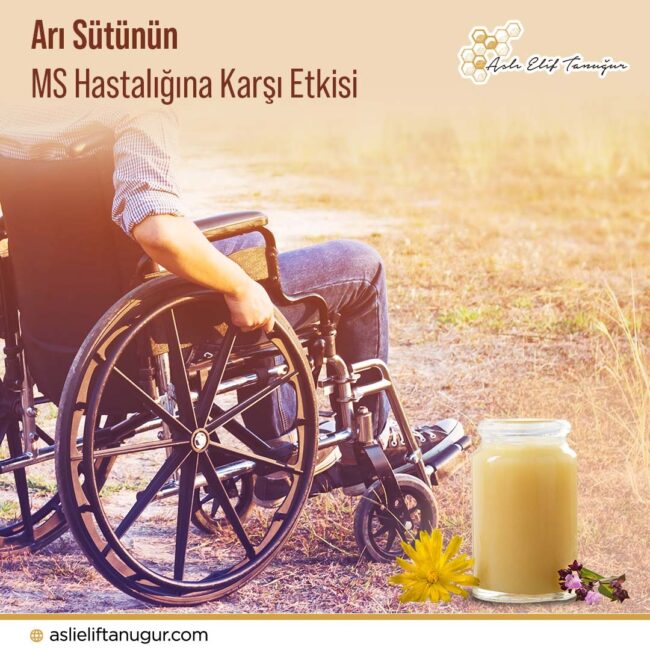 ari_sutunun_ms_hastaligina_etkisi