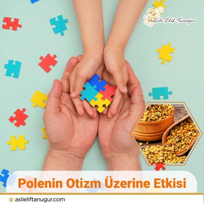 polenin_otizm_uzerine_etkisi