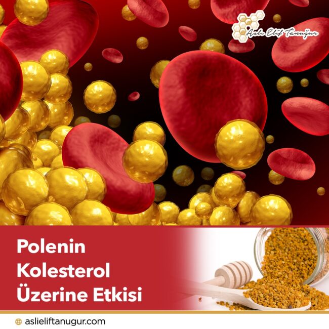 polenin_kolesterol_uzerine_etkisi