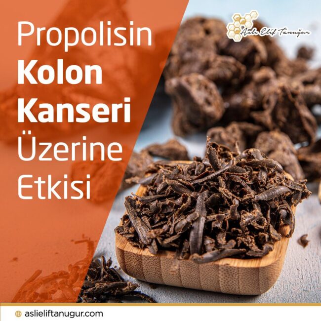 propolisin_kolon_kanseri_uzerine_etkisi