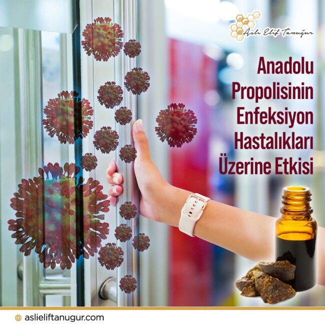 anadolu_propolisinin_enfeksiyon_hastalıklarına_etkisi