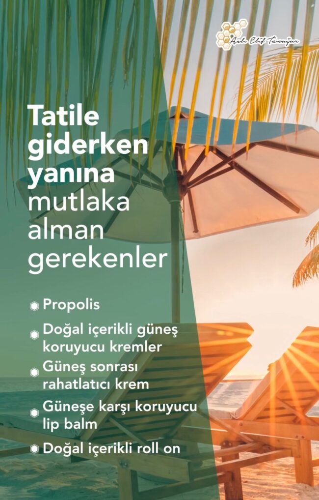 tatile_giderken_yanina_alman_gerekenler