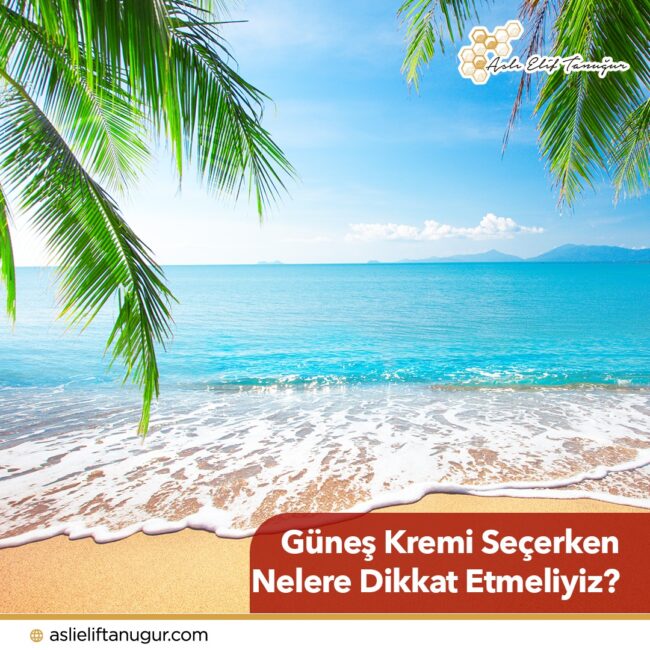 gunes_kremi_sec