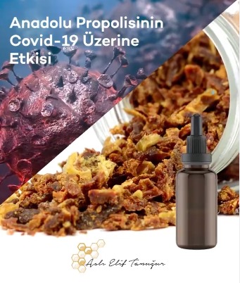 propolisin_covid_uzerine_etkisi