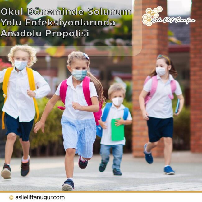okul-donemi-anadolu-propolisi