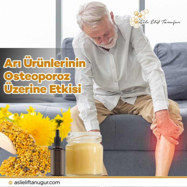 ari-urunleri-osteoporoz-etkisi