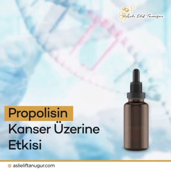 propolisin-kanser-uzerine-etkisi