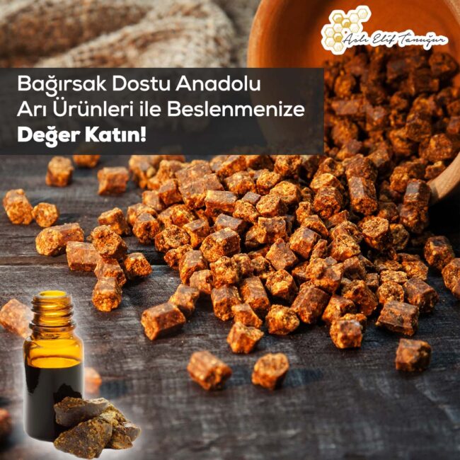 anadolu-ari-urunleri