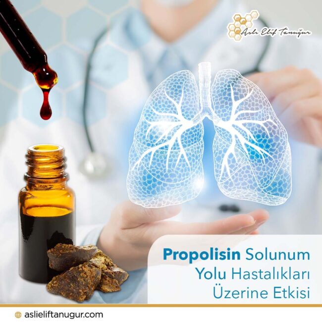 propolis-alt-ust-solunum-enfeksiyon