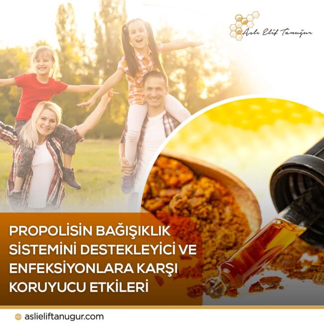 bagisiklik-destekleyici-koruyucu-propolis