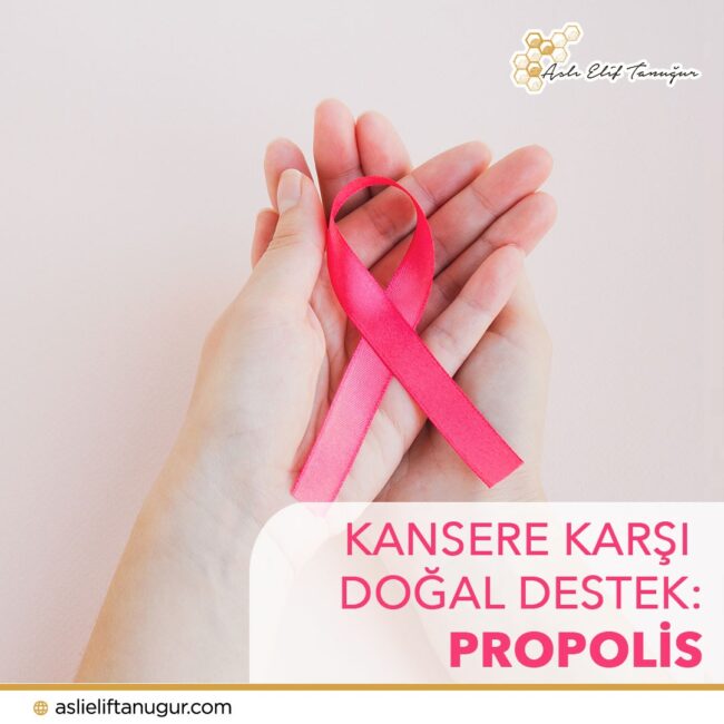 propolis-kansere-karsi-dogal-destek