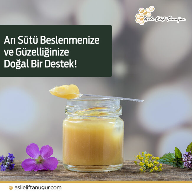 ari-sutu-beslenme-ari-sutu-nedir