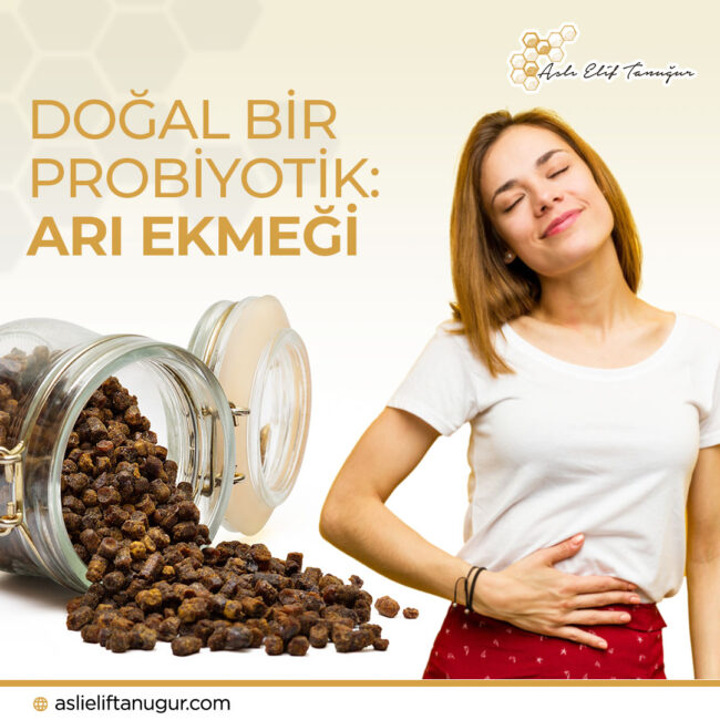 dogal-probiyotik-ari-ekmegi