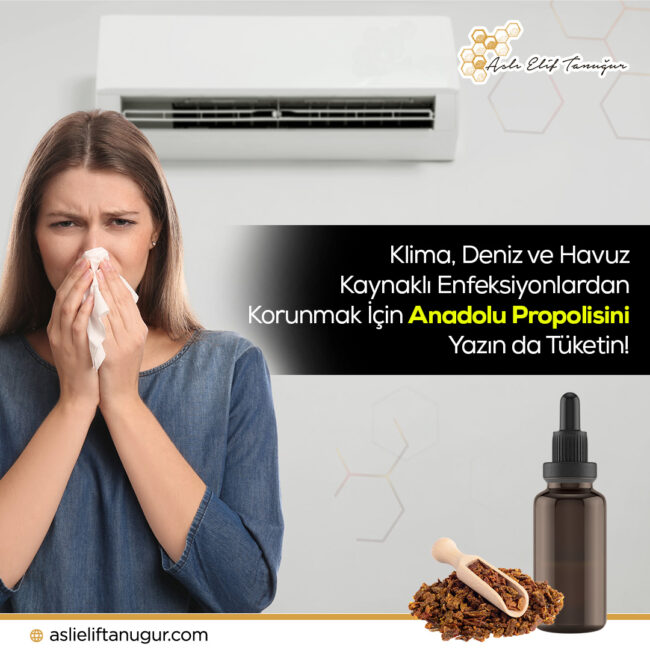 enfeksiyondan-korunma-yontemleri-propolis