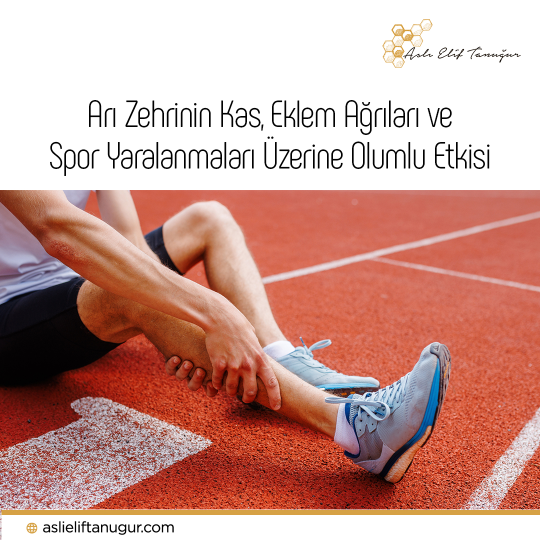 Arı Zehrinin Kas, Eklem Ağrıları ve Spor Yaralanmaları Üzerine Olumlu Etkisi